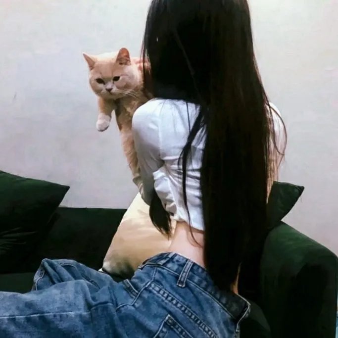 父子神探之双子座